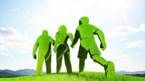 北清環(huán)能3.6億收購(gòu)餐廚垃圾處理資產(chǎn) 溢價(jià)40倍背后的環(huán)保戰(zhàn)略與風(fēng)險(xiǎn)