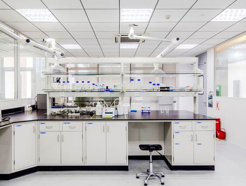 引領綠色未來 以開拓創新與專業服務，鑄就質量至上的環保咨詢新標桿